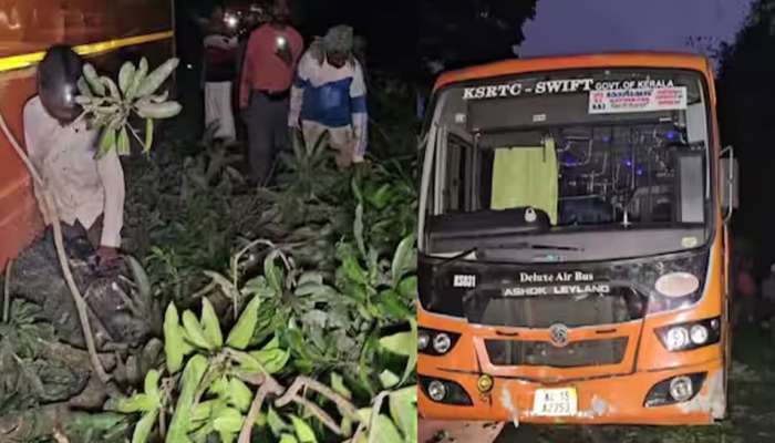 KSRTC Swift Accident: റോഡിൽ മാങ്ങ പെറുക്കുന്നവർക്കിടയിലേക്ക് കെഎസ്ആർടിസി ബസ് പാഞ്ഞുകയറി; 3 പേർക്ക് പരിക്ക്, ഒരാളുടെ നില ഗുരുതരം