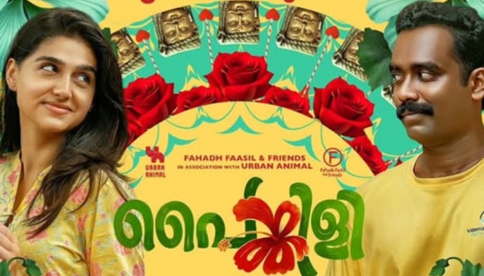 Painkili Ott: സജിൻ ​ഗോപു നായകനായ &#039;പൈങ്കിളി&#039; ഒടിടിയിലേക്ക്; സ്ട്രീമിങ് എവിടെ, എപ്പോൾ?