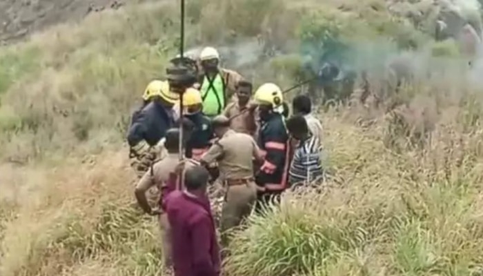 Wasp Attack: ഗൂഡല്ലൂരിൽ വിനോദയാത്രാ സംഘത്തിന് നേരെ കടന്നൽ ആക്രമണം; ഒരു മരണം