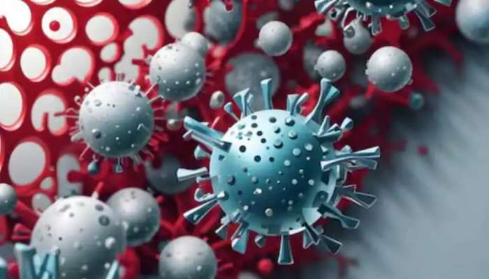 Nipah Symptoms: നിപ ലക്ഷണങ്ങൾ, കോഴിക്കോട് മെഡിക്കൽ കോളേജിൽ യുവതി ചികിത്സയിൽ; സ്രവം പരിശോധനയ്ക്ക് അയച്ചു