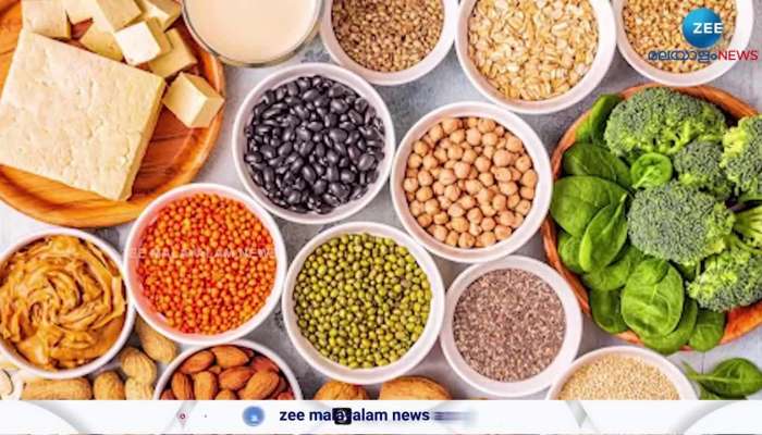 Proteins are necessary, but too much is dangerous