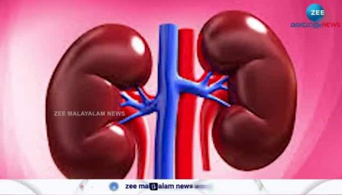 Kidney Health Increases Chance To Heart Diseases