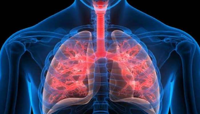 Health Tips: ശ്വാസകോശം ആരോഗ്യത്തോടെ നിലനിര്‍ത്താം! ഇക്കാര്യങ്ങള്‍ ശ്രദ്ധിക്കുക