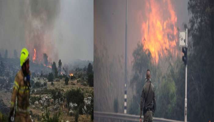 Israel: ഇസ്രയേലിൽ കാട്ടുതീ പടരുന്നു; ആയിരക്കണക്കിന് ആളുകളെ ഒഴിപ്പിച്ചു