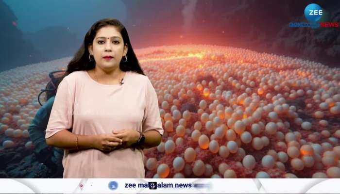 Stunning view of underwater volcano near Vancouver Island
