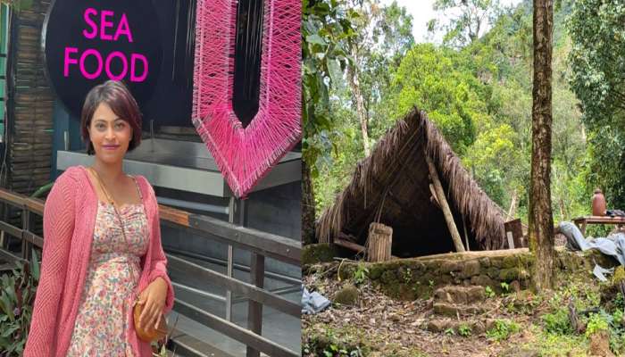 റിസോർട്ടിലെ ഷെഡ് തകർന്ന് വിനോദ സഞ്ചാരിക്ക് ദാരുണാന്ത്യം; സംഭവം വയനാട്ടിൽ 
