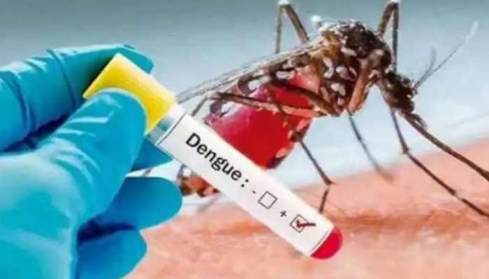 National Dengue Day 2025: ഡെങ്കിപ്പനി പ്രതിരോധത്തിന് ഉറവിട നശീകരണം പ്രധാനമെന്ന് ആരോ​ഗ്യമന്ത്രി വീണാ ജോർജ്