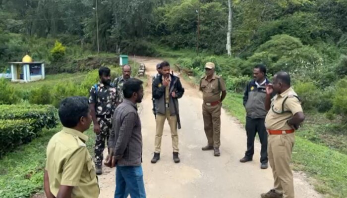 Tiger Spotted in Munnar: മൂന്നാറില്‍ വീണ്ടും കടുവ  സാന്നിധ്യം; സ്ഥിരീകരിച്ച് വനം വകുപ്പ്