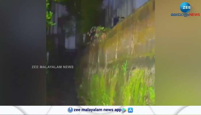 Leopard Found In Wayanad Sulthanbathery