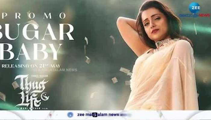 Trisha Krishnan Sugar Baby Song