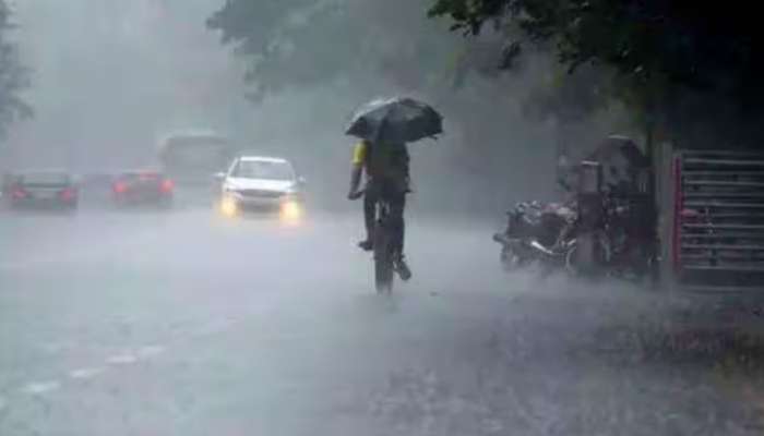Rain Alert Kerala: സംസ്ഥാനത്ത് മഴ ശക്തം; കോഴിക്കോട് മലയോര മേഖലയിൽ കനത്ത മഴ, പുഴകളില്‍ ജലനിരപ്പുയരുന്നു