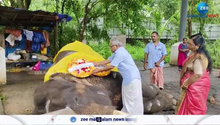 The legend of Guruvayur Elephant Race, Guruvayur Devaswom Tusker Gopi Kannan dies
