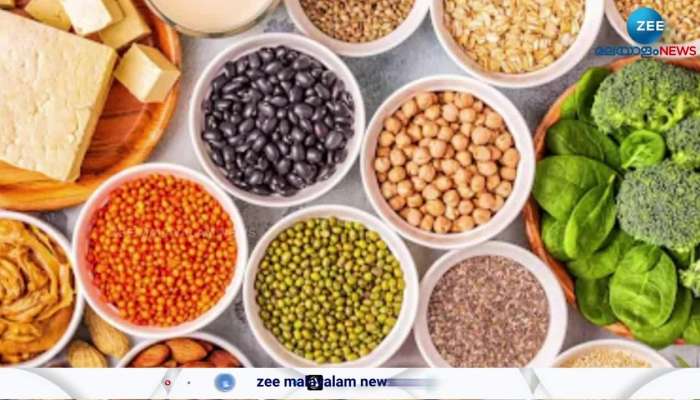 Proteins Classification