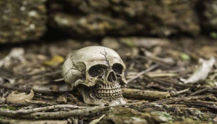 Shocking News: അഴുക്കുചാല്‍ വൃത്തിയാക്കിയപ്പോൾ കിട്ടിയത് തലയോട്ടിയും എല്ലുകളും..! മനുഷ്യന്‍റെയോ മൃഗത്തിന്‍റെയോ? 