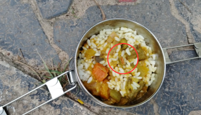 Worm Found in Food: കാര്യവട്ടം ക്യാമ്പസ് ഹോസ്റ്റൽ മെസിലെ ഭക്ഷണത്തിൽ പുഴു; പരിശോധന നടത്തി ഭക്ഷ്യ സുരക്ഷാ ഉദ്യോഗസ്ഥർ