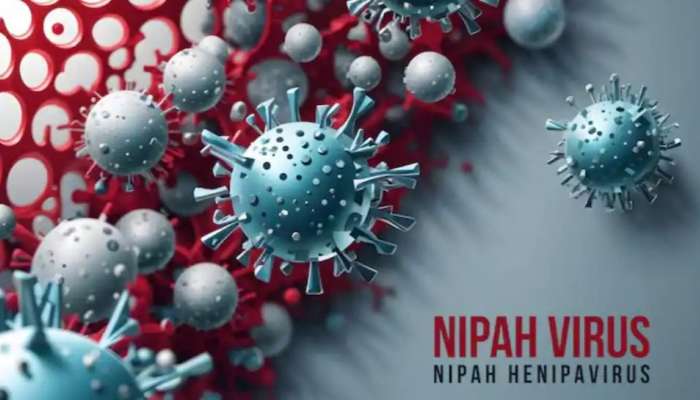 Nipah In Kerala: സംസ്ഥാനത്ത് വീണ്ടും നിപ? പാലക്കാട് സ്വദേശിനിയുടെ ആരോഗ്യനില ഗുരുതരം