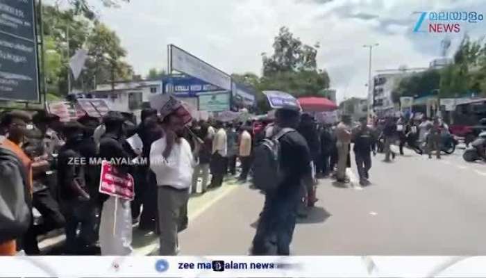 Solar Providers Protest