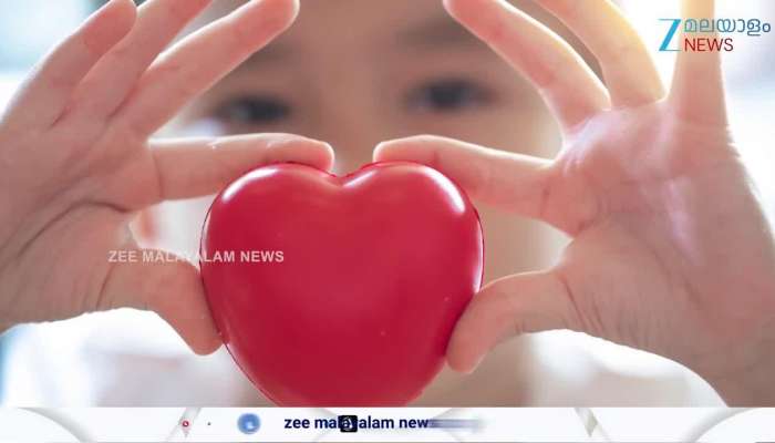 Difference between Heart attack and Heart failure