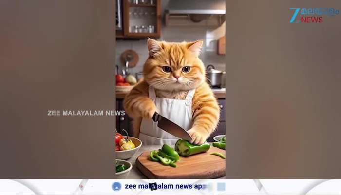 Orange cat AI threat