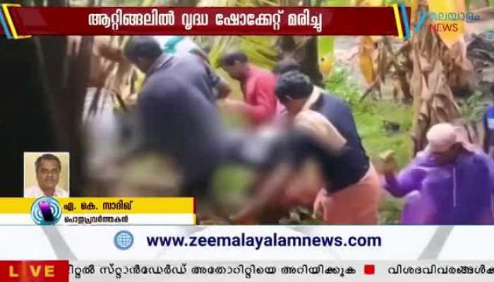 Palakkad Electric Shock Death