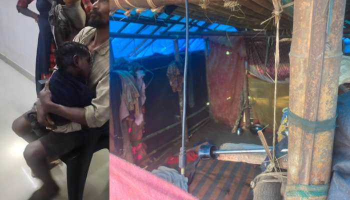 Leopard Attack: തൃശൂർ മലക്കപ്പാറയില്‍ നാലുവയസ്സുകാരനെ പുലി ആക്രമിച്ചു