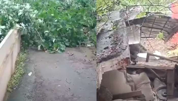 Tornado: അങ്കമാലിയിൽ മിന്നൽ ചുഴലി; മരങ്ങൾ കടപുഴകി വീണു, വൻ നാശനഷ്ടം