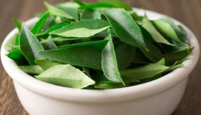 Curry Leaves: കറിവേപ്പിലയ്ക്ക് ഇങ്ങനെയും ഗുണങ്ങളോ? അടുക്കളയിൽ ഇങ്ങനെയും പ്രയോഗിക്കാം