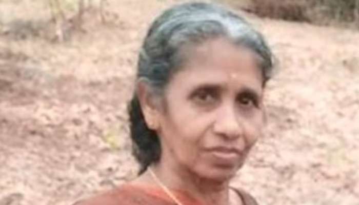 Elephant Attack: മലപ്പുറം കമ്പിക്കയത്ത് ആനയുടെ ചവിട്ടേറ്റ് വീട്ടമ്മ മരിച്ചു