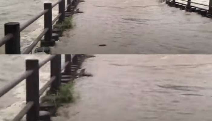 Kerala Rain Alert: കണ്ണൂരില്‍ മലയോര മേഖലയില്‍ കനത്തമഴ; ബാവലിപ്പുഴ കരകവിഞ്ഞു