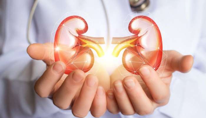 Kidney Failure: വൃക്ക തകരാറിലാണോ എന്നറിയാം ഈ അഞ്ചു ലക്ഷണങ്ങളിലൂടെ