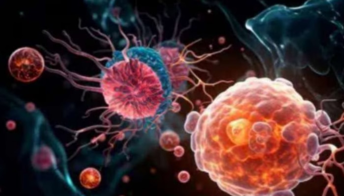 Amoebic Meningitis Death: അമീബിക് മസ്തിഷ്ക ജ്വരം; സംസ്ഥാനത്ത് ഒരു മരണം കൂടി, മരിച്ചത് കൊല്ലം സ്വദേശിയായ സ്ത്രീ