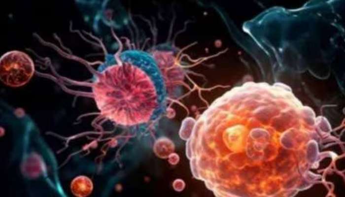 Amoebic Meningoencephalitis: സംസ്ഥാനത്ത് വീണ്ടും അമീബിക് മസ്തിഷ്ക ജ്വരം: പാലക്കാട് സ്വദേശിയുടെ നില ഗുരുതരം