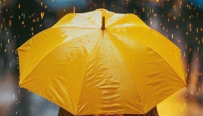 Heavy Rain In Kerala: സംസ്ഥാനത്ത് 20 വരെ കനത്ത മഴ; ഇന്ന് രണ്ട് ജില്ലകളിൽ ഓറഞ്ച് അലർട്ട്, ഏഴ് ജില്ലകളിൽ യെല്ലോ അലർട്ട്