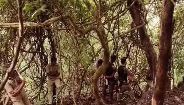 Palakkad News: അട്ടപ്പാടിയിൽ ഉൾവനത്തിൽ കുഴിച്ചിട്ട നിലയിൽ ആദിവാസി സ്ത്രീയുടെ മൃതദേഹം