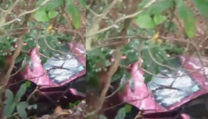 Car accident: നിയന്ത്രണം വിട്ട കാർ താഴ്ചയിലേക്ക് മറിഞ്ഞ് അപകടം; വീട്ടമ്മയും കൊച്ചുമകളും മരിച്ചു