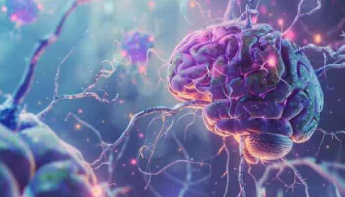 Amoebic Meningoencephalitics Death: അമീബിക് മസ്തിഷ്‌കജ്വരം: ഒരു മരണം കൂടി, മരിച്ചത് തിരുവനന്തപുരത്ത് ചികിത്സയിലായിരുന്ന വയോധിക