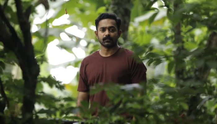 Asif Ali: 'ആ​ഗ്രഹിച്ചത് മികച്ച നടൻ; നിരാശയുണ്ട്, പക്ഷേ ഇത് പ്രചോദനം ആണ്' -  ആസിഫ് അലി