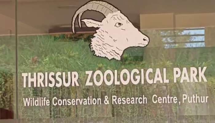 Zoological Park: തെരുവുനായ ആക്രമണത്തിൽ 10 മാനുകൾ ചത്തു; സംഭവം തൃശൂർ പുത്തൂർ സുവോളജിക്കൽ പാർക്കിൽ