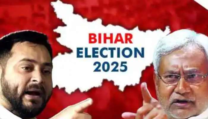 Bihar Election Tejashwi Yadav Response: 'ബിഹാറിൽ മഹാസഖ്യം സർക്കാർ രൂപീകരിക്കുമെന്ന് ഉറപ്പ്'; ആത്മവിശ്വാസത്തോടെ തേജസ്വി യാദവ്