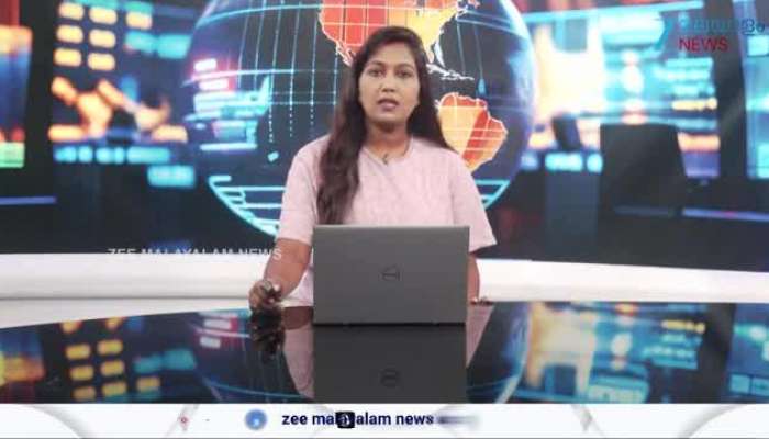 Jana Nayagan Movie Pre Sales