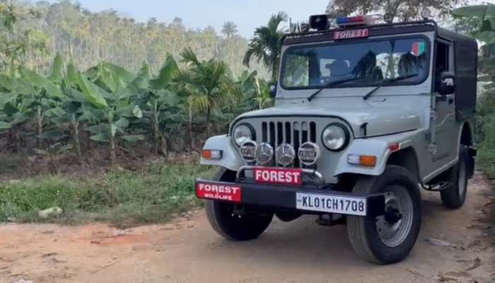 Wayanad Tiger: വയനാട് പച്ചിലക്കാട് ജനവാസ മേഖലയിൽ കടുവയിറങ്ങി; തിരച്ചിൽ തുടർന്ന് വനം വകുപ്പ്
