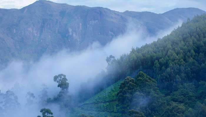 Kerala Weather Updates: സംസ്ഥാനത്ത് മഴ മാറി; മലയോര ജില്ലകളിൽ അതിശൈത്യം