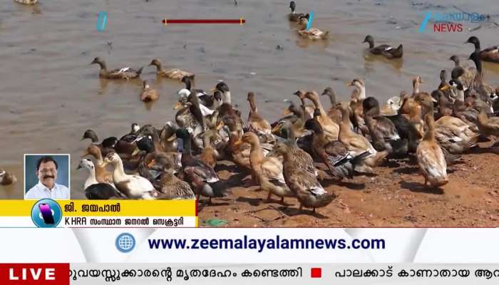 Alappuzha Bird Flu Threat  