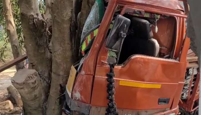 Lorry Accident: നിയന്ത്രണം വിട്ട ലോറി മരത്തിലിടിച്ചു, ഡ്രൈവർക്ക് ദാരുണാന്ത്യം; മരിച്ചത് തമിഴ്നാട് സ്വദേശി