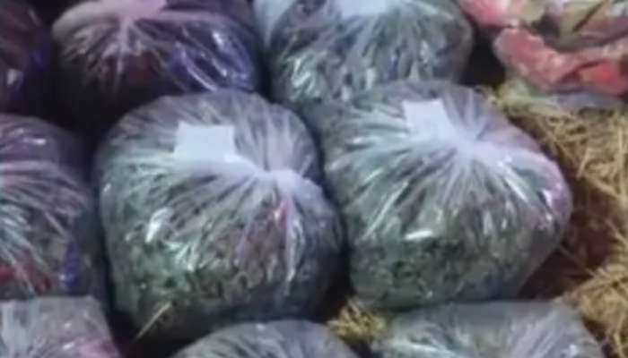 Marijuana Seized: കുടുംബസമേതം കഞ്ചാവ് കടത്ത്, അമ്മയും മകളും മരുമകനും പിടിയിൽ
