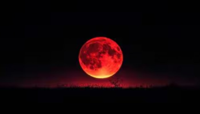 Blood Moon Lunar Eclipse 2026: ചന്ദ്രൻ ചുവപ്പണിയുന്നു..! ദോഷങ്ങൾ മാറി, തലവര തെളിയും ഈ രാശിക്കാരുടെ, കടുകിട തെറ്റാത്ത ജ്യോതിഷ പ്രവചനം