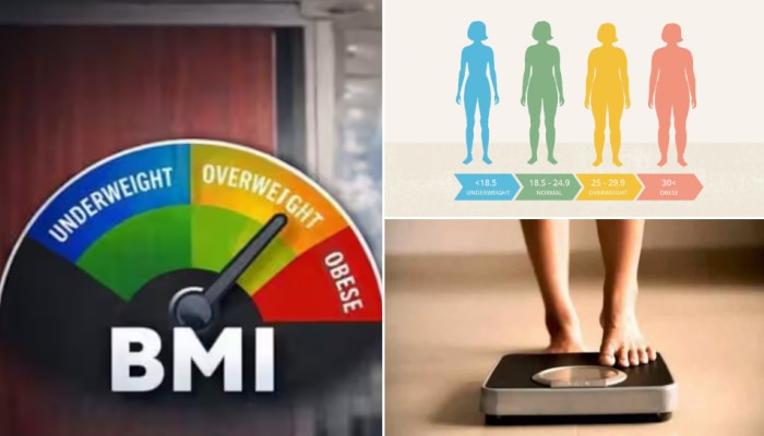 World Health Day 2026: അമിതഭാരമോ പൊണ്ണത്തടിയോ? അറിഞ്ഞിരിക്കാം നിങ്ങളുടെ ബിഎംഐ; കണക്കാക്കുന്ന വിധം ഇതാ...