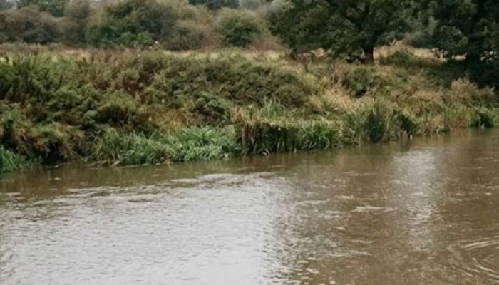 Bhavani River: അട്ടപ്പാടി ഭവാനിപ്പുഴയിൽ രണ്ട് വിദ്യാർഥികൾ മുങ്ങിമരിച്ചു; മരിച്ചത് കോയമ്പത്തൂർ സ്വദേശികൾ